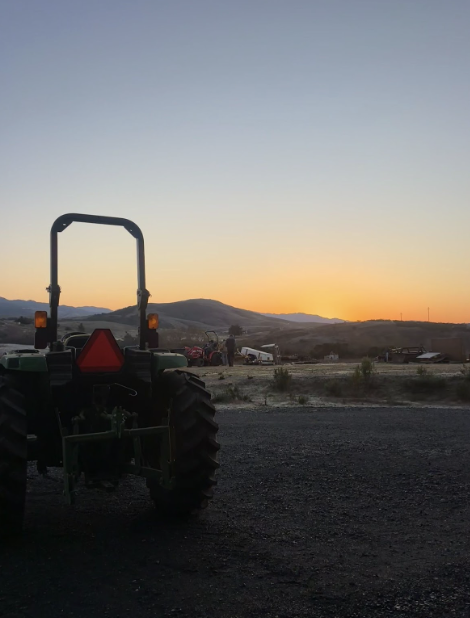 The sun rises as the Farm Power, Equipment, and Machinery class begins on the Cuesta College Campus on May 6. 
